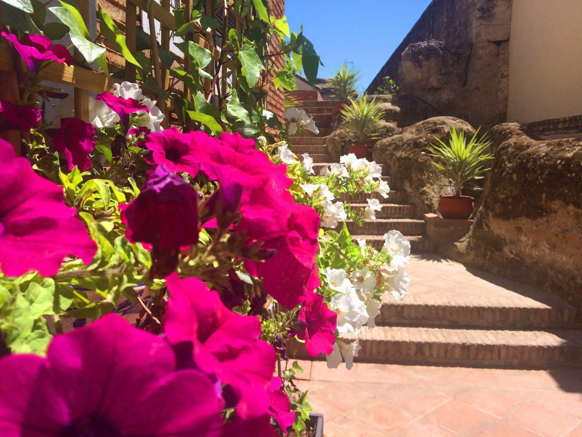 Hospederia Convento De Santa Clara Hotell Palma del Río Exteriör bild